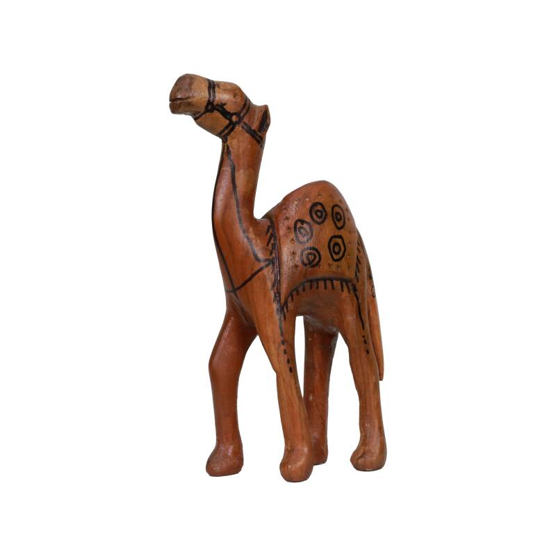 CAMEL - 2